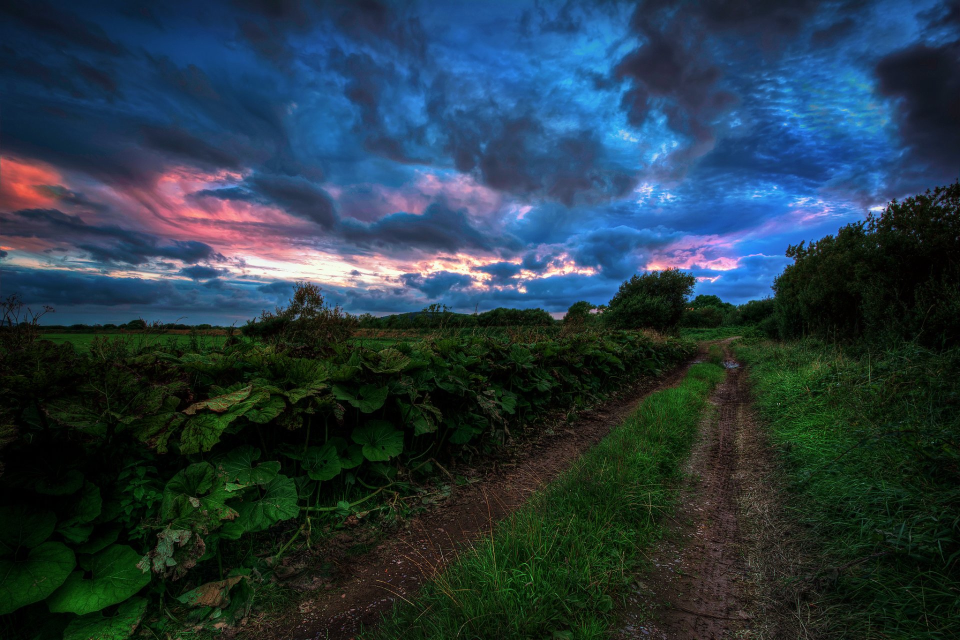 été route herbe arbres ciel sombre nuages soirée