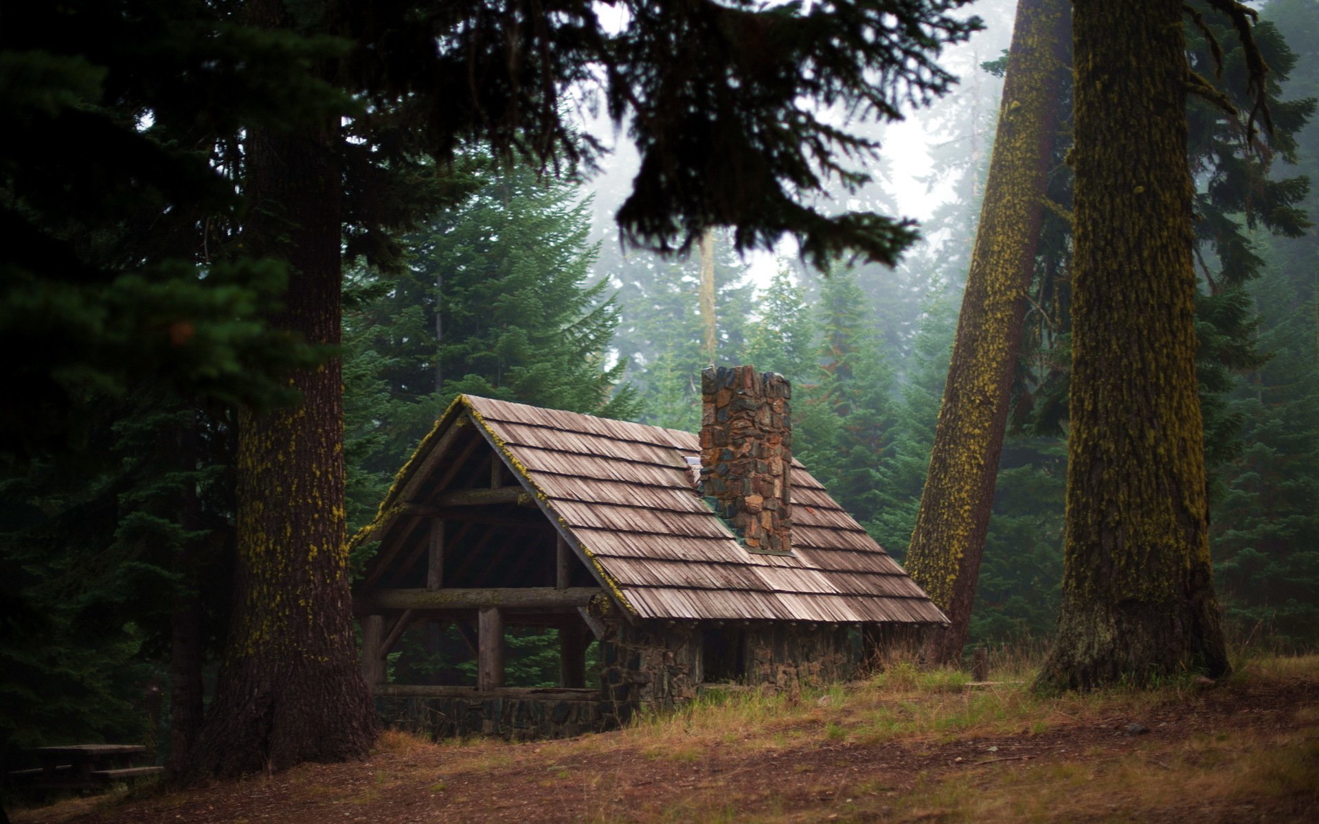 forêt maison nature