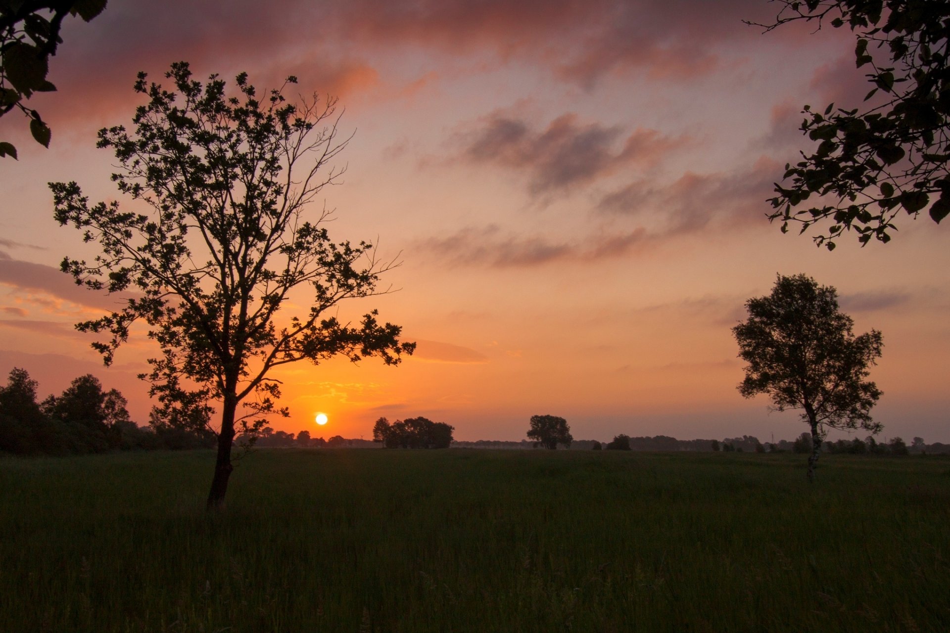 natur landschaft baum bäume blätter blätter laub gras grün vegetation sonne sonnenuntergang abend himmel wolken hintergrund tapete widescreen vollbild widescreen widescreen