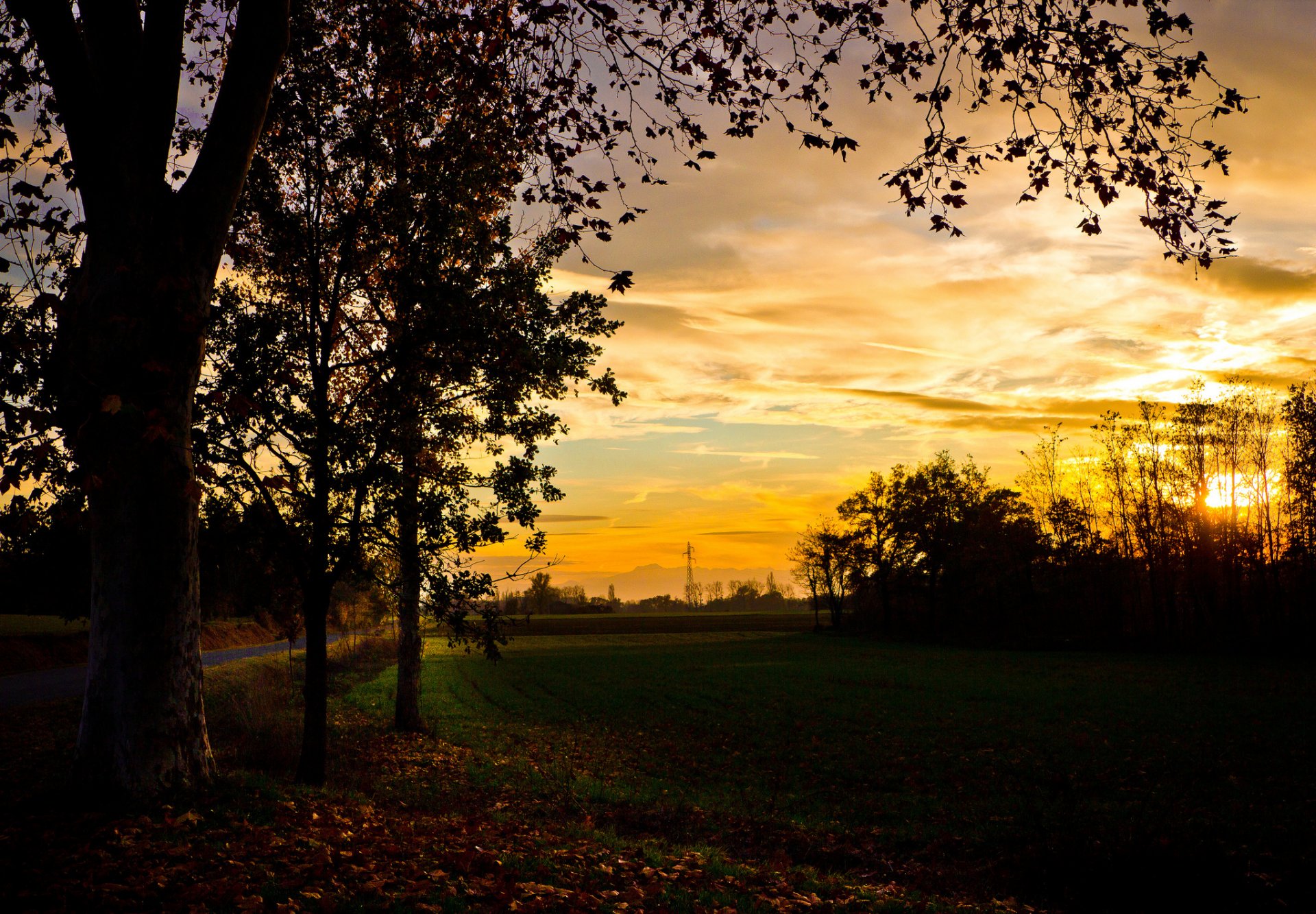 automne champ arbres soir coucher de soleil