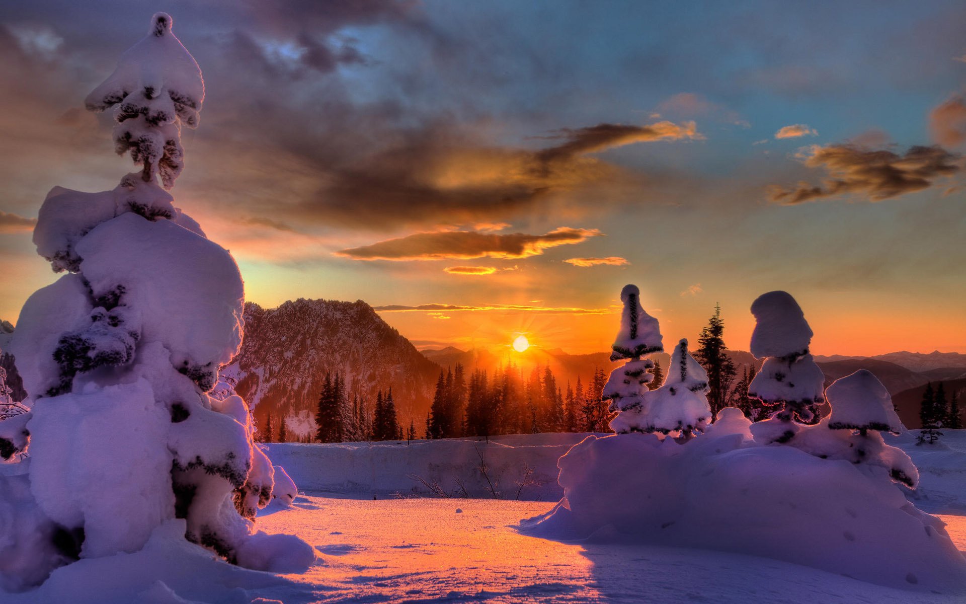 schnee wald sonne sonnenuntergang