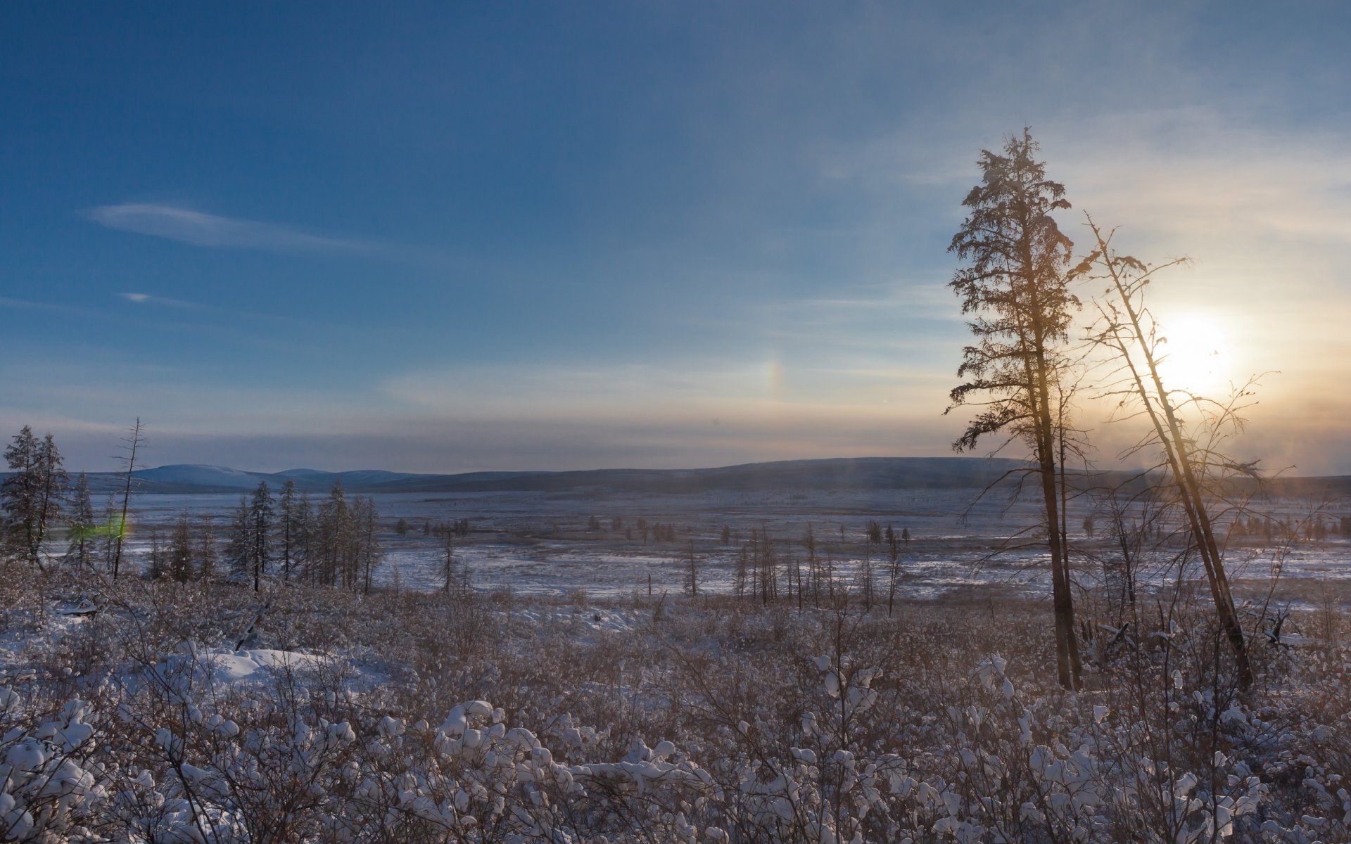 norte polo de frío oymyakon árboles nieve sol