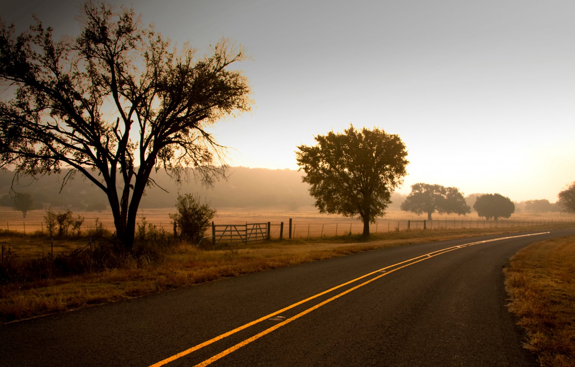 nature road highway highway tree trees leaves leaves foliage fence gate fence fence field sky background wallpaper widescreen fullscreen widescreen widescreen