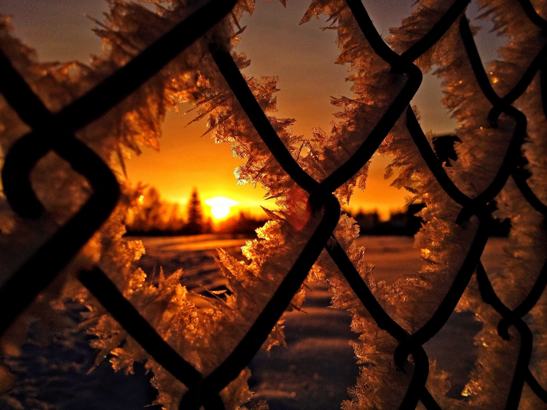 natur winter schnee eis vor dem einfrieren sonne sonnenuntergang winter frost sonnenaufgang