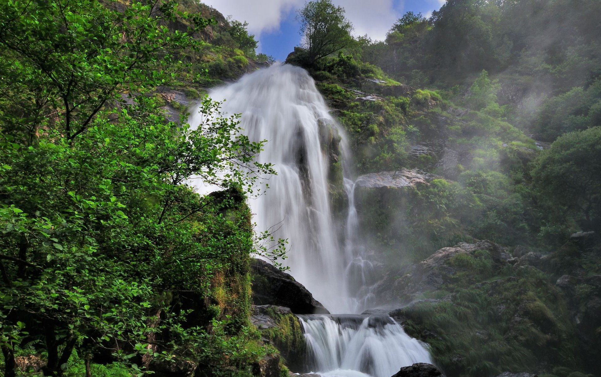 cascada roca árboles arroyo