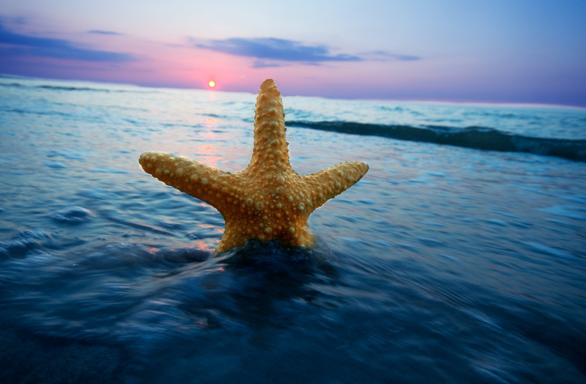 nature sea water wave starfish horizon sun sunset sky clouds background wallpaper widescreen full screen hd wallpapers fullscreen