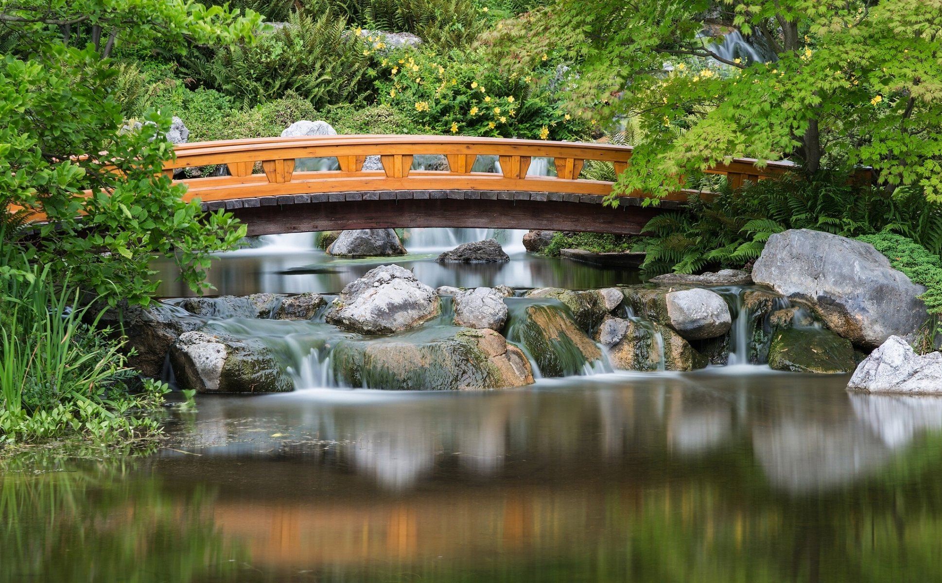 parco setagaya giardino giapponese vienna austria ponte cascata pietre