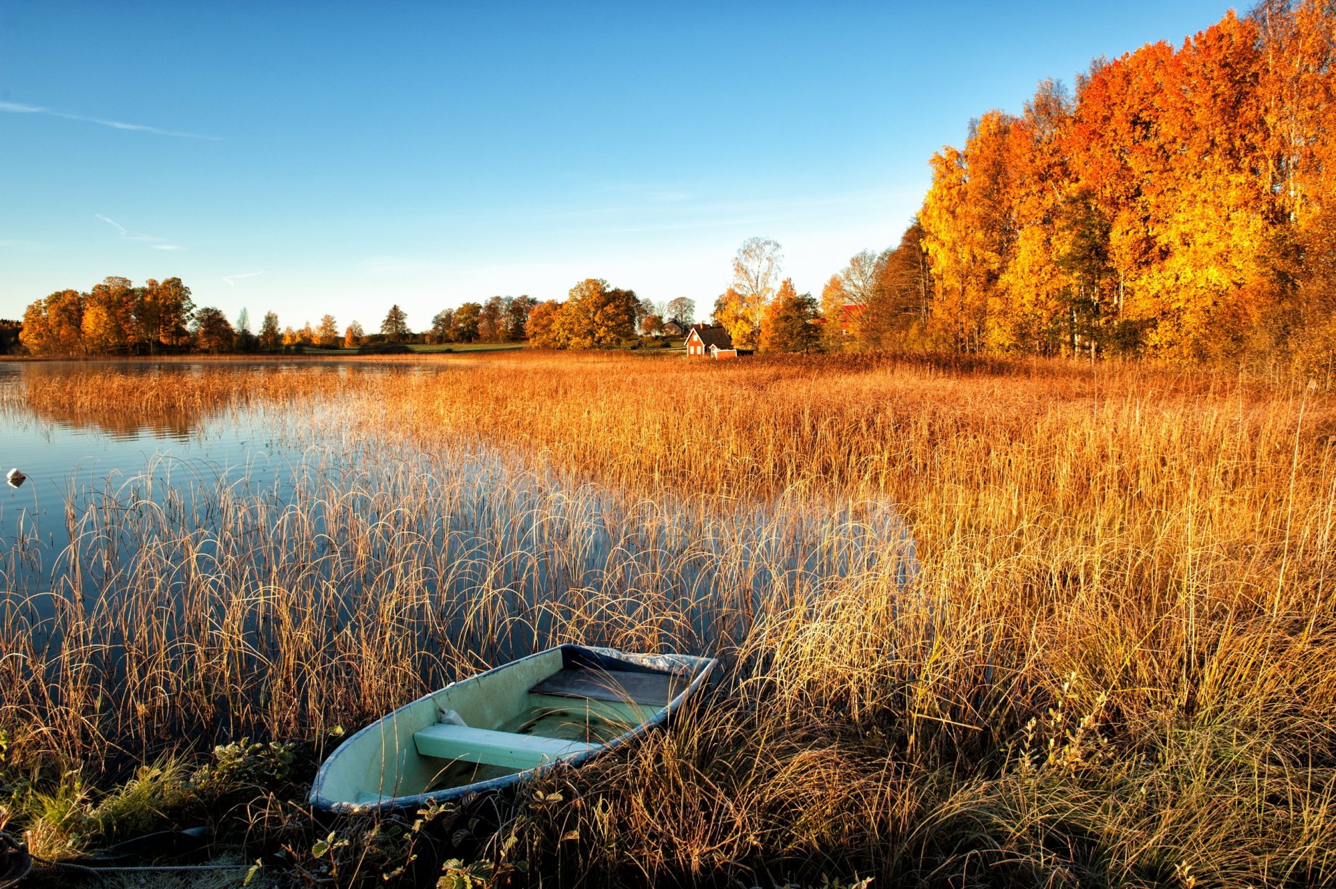 autumn lake boat tree houses