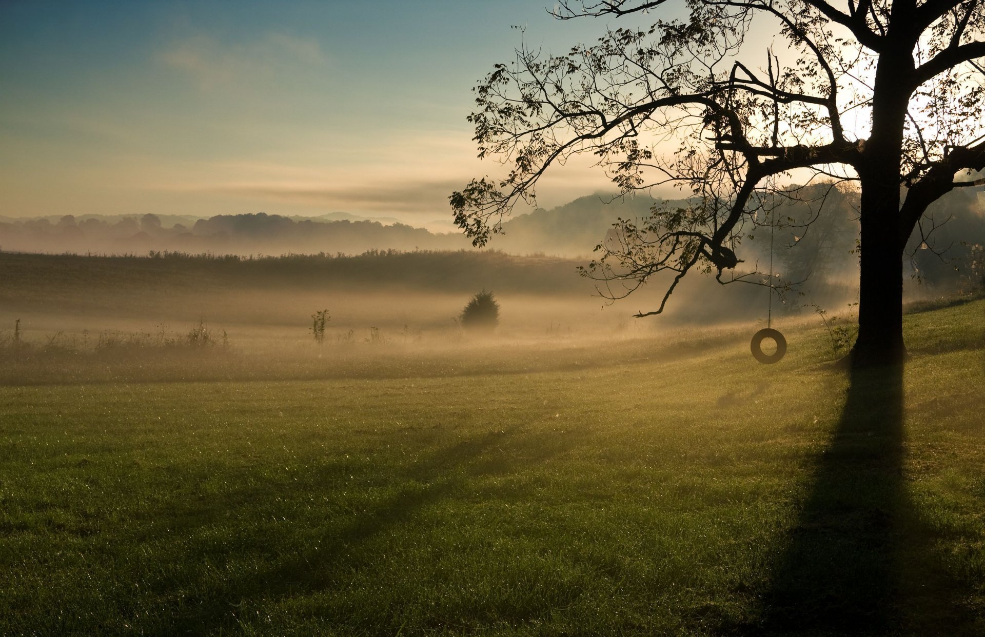 natur baum blätter blätter zweige schaukel rad reifen gras grün laub himmel wolken hintergrund tapete widescreen vollbild widescreen widescreen