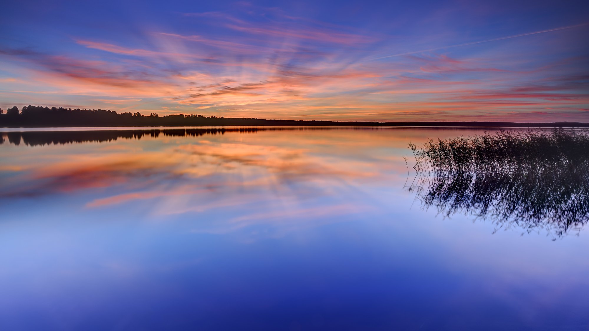 schweden karlstad see wasser oberfläche gras bäume wald abend orange sonnenuntergang blau himmel wolken reflexion