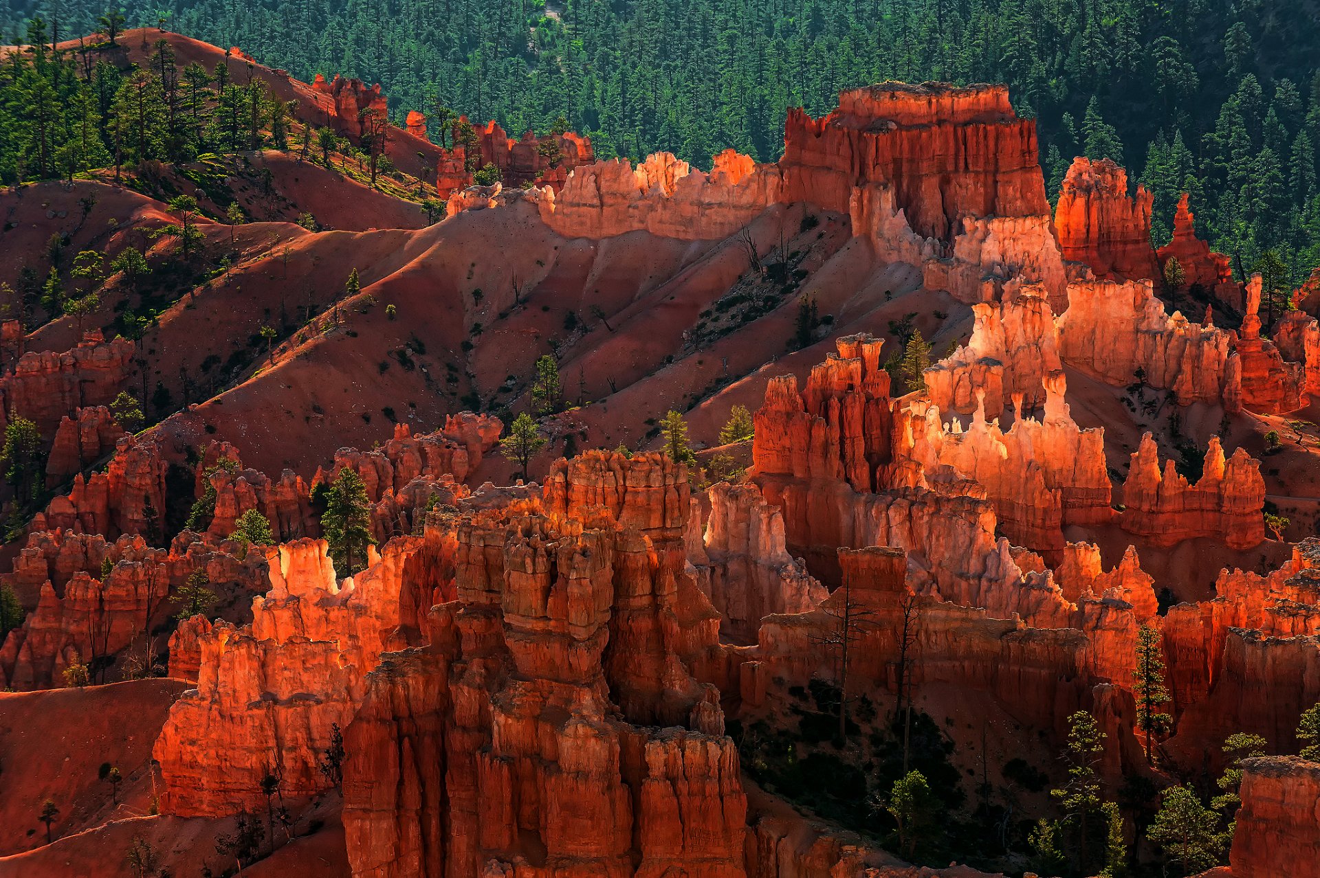 stany zjednoczone utah park narodowy bryce canyon struktury geologiczne hoodoo skały las wieczór