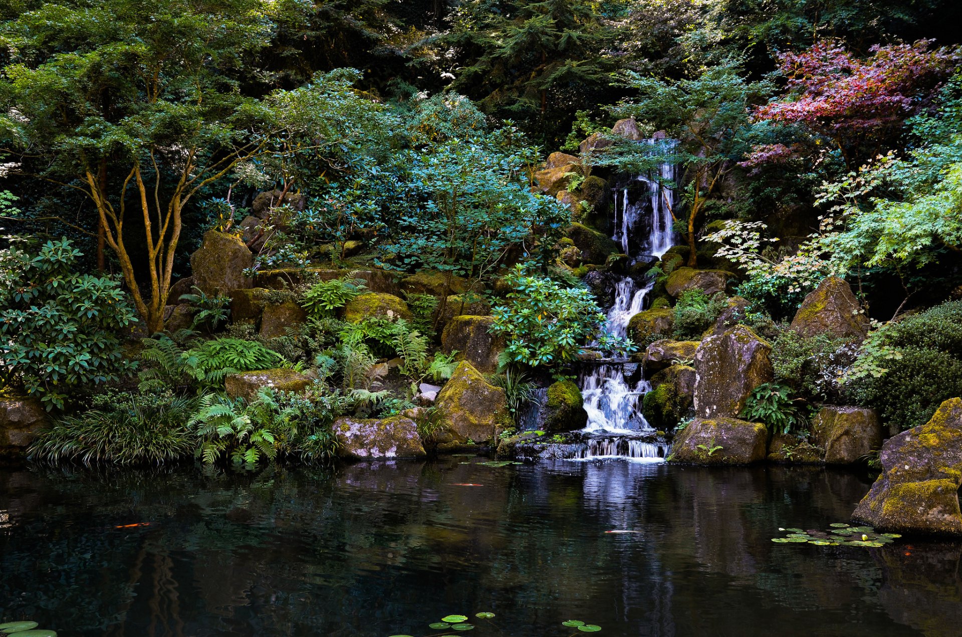 jardín japonés cascada piedras árboles estanque parque