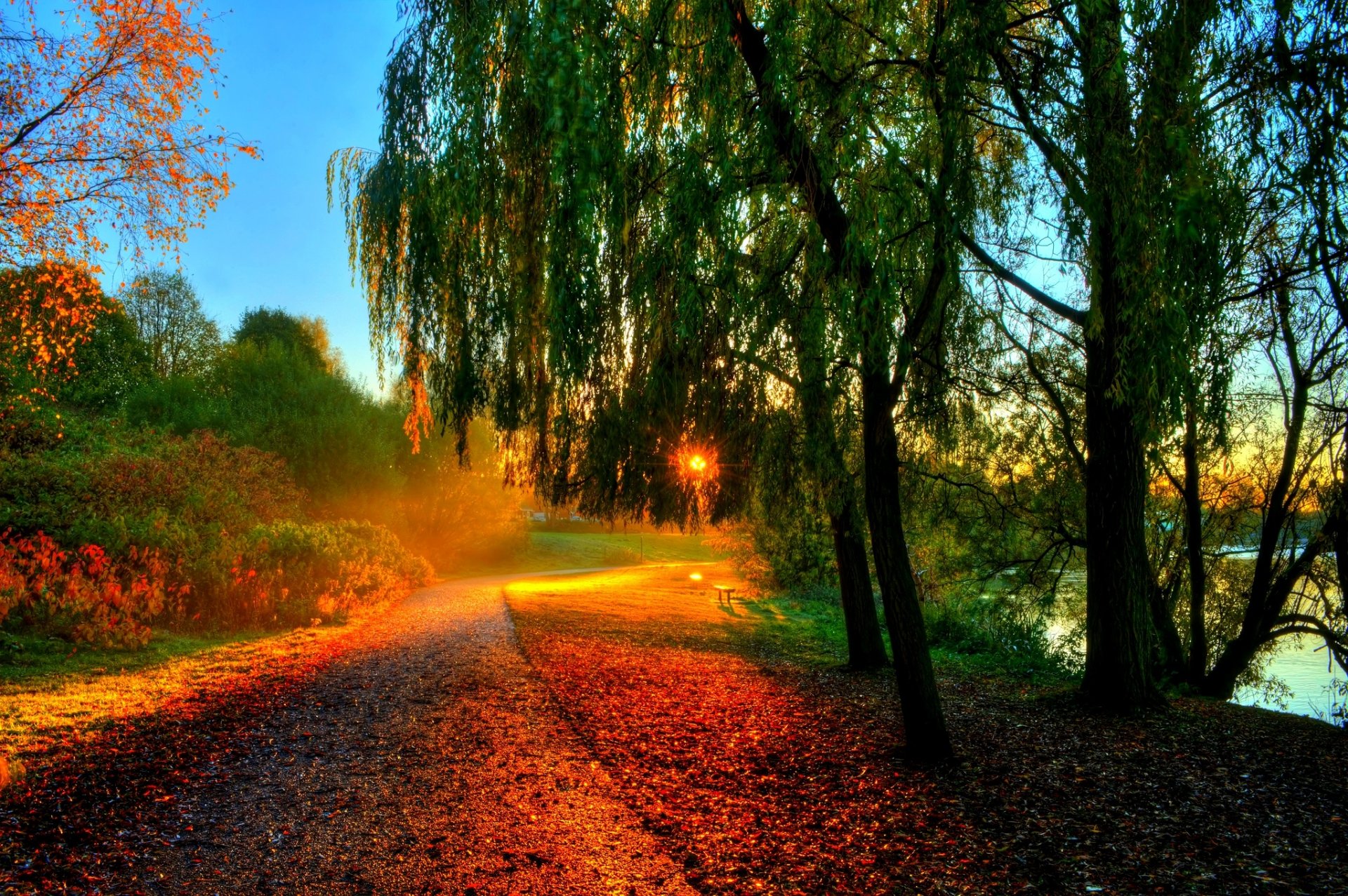 liście drzewa słońce zachód słońca promienie ławka las jesień spacer hdr natura rzeka woda ławka