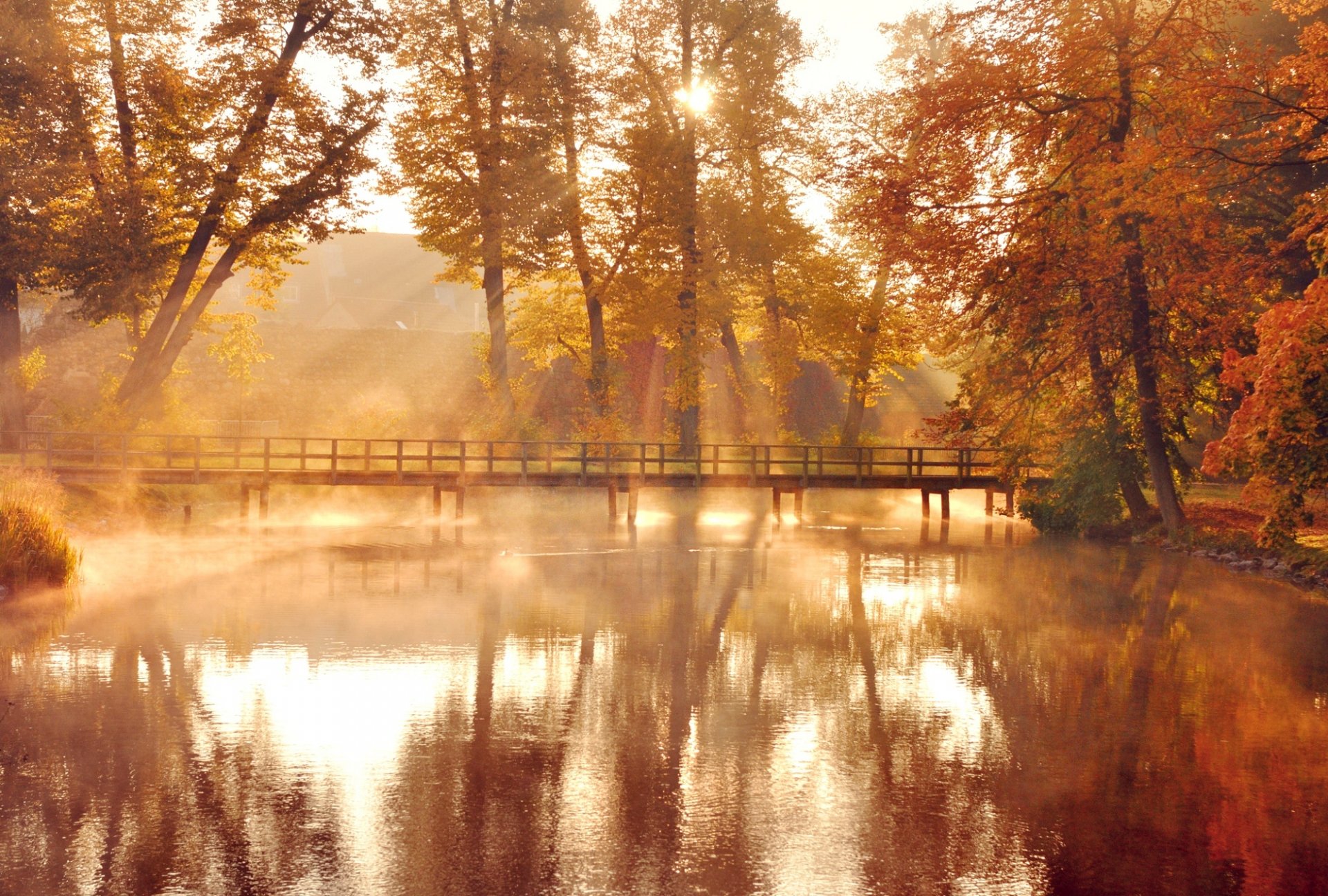 autumn nature tree leaves orange yellow lake water reflection bridge sun light