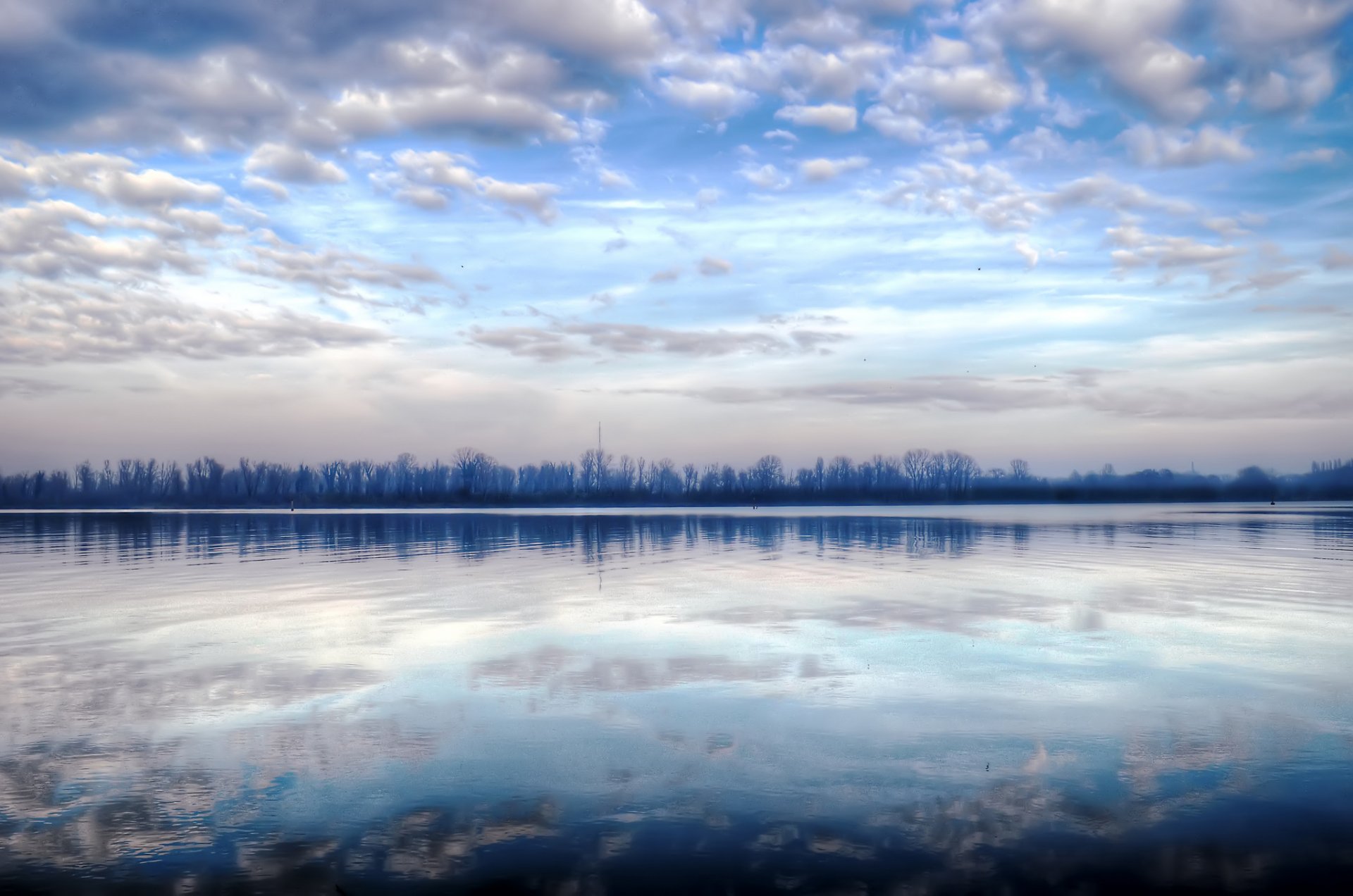 forest lake reflection morning winter