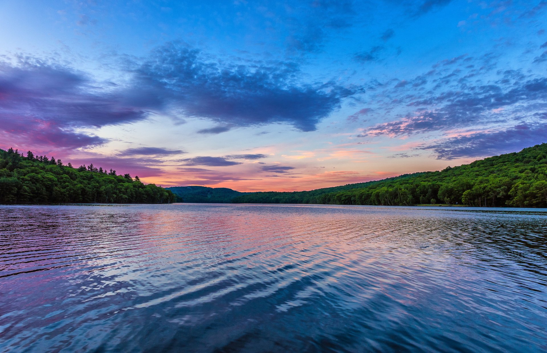 forest lake morning dawn