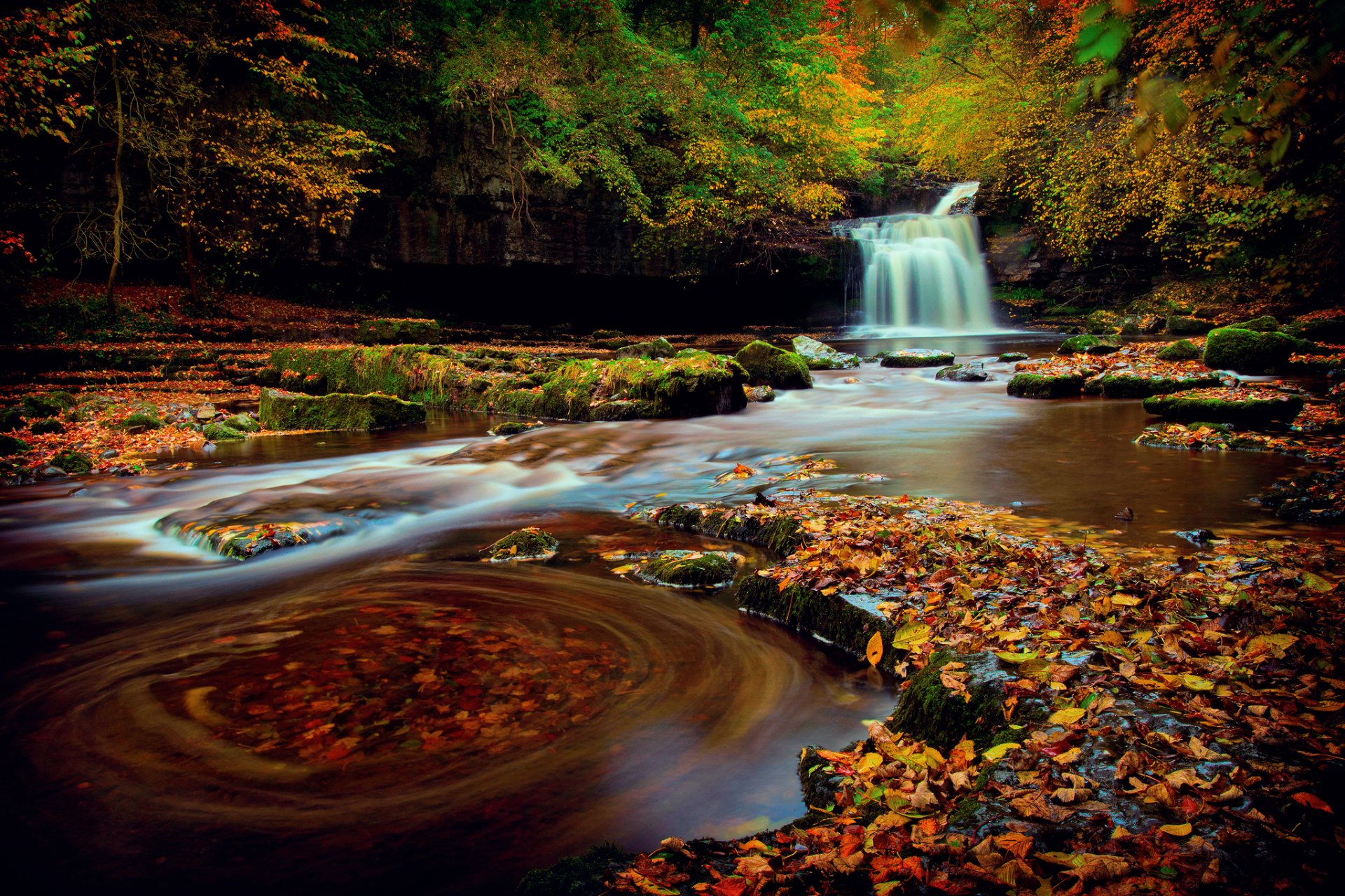 nord de l angleterre yorkshire forêt cascade automne octobre extrait feuillage