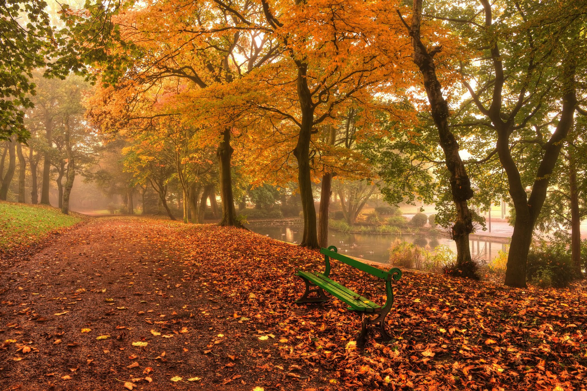 nature landscape leaves leaves tree trees autumn bench bench bench green path path alley river water background wallpaper widescreen fullscreen widescreen widescreen