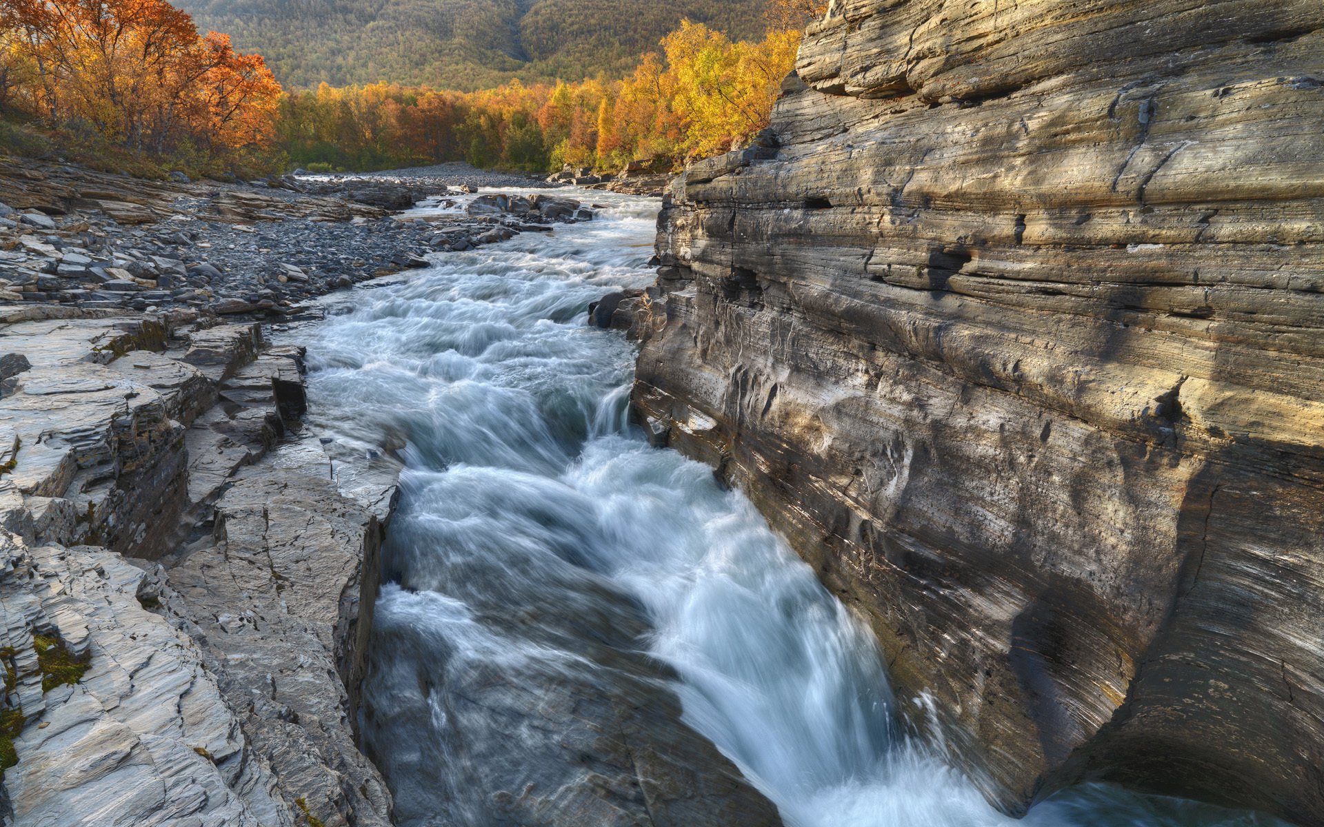 abisco river parc national d abisco suède rivière rocher automne