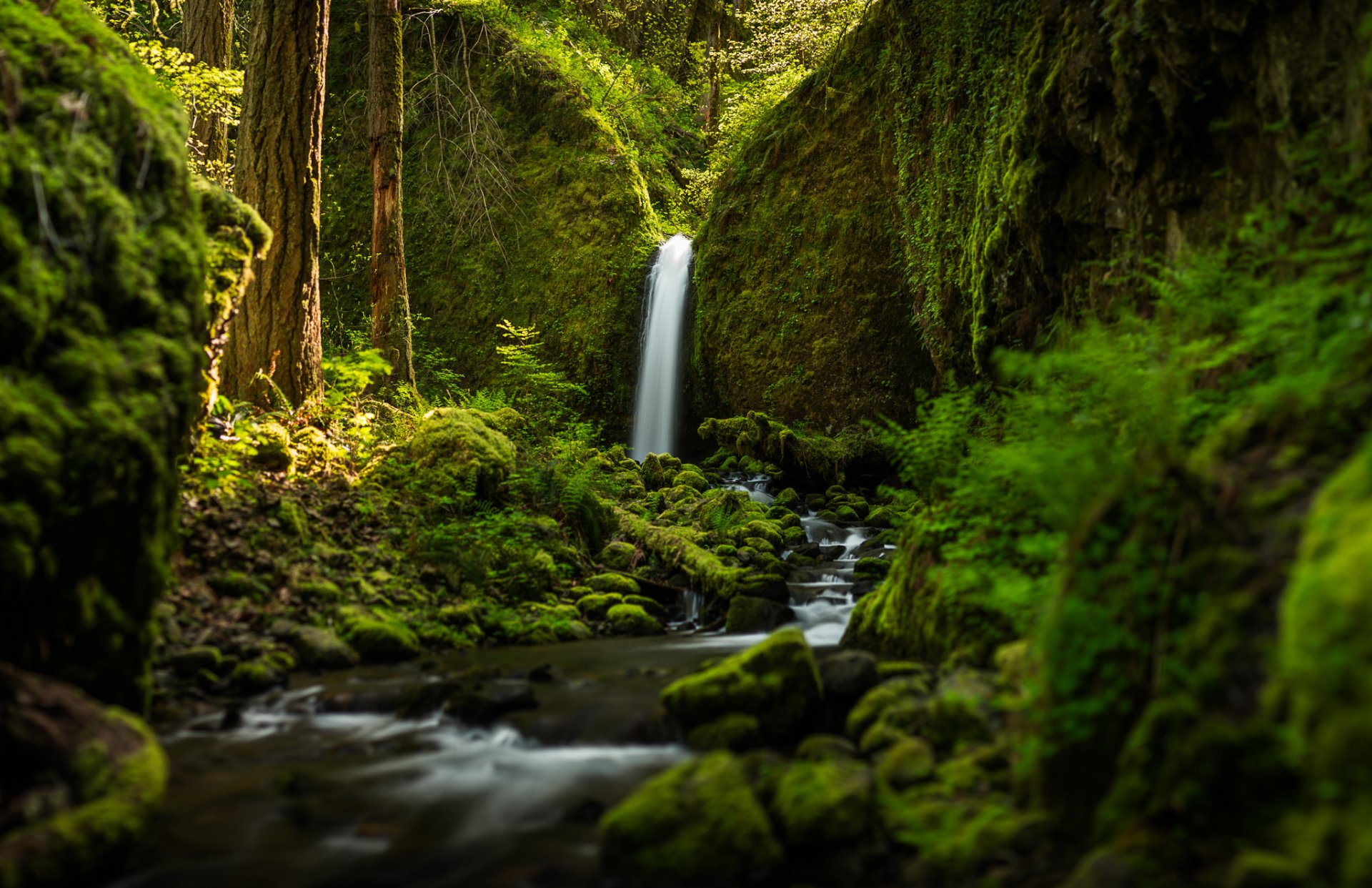 ruckel creek falls oregon wodospad las rzeka