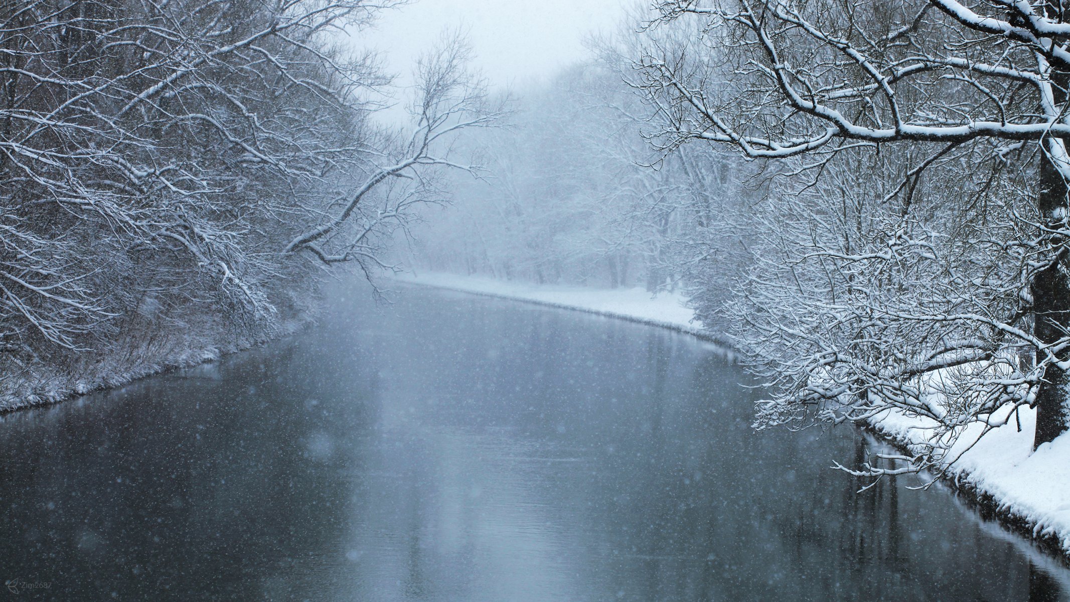 fluss wald bäume schnee winter kälte