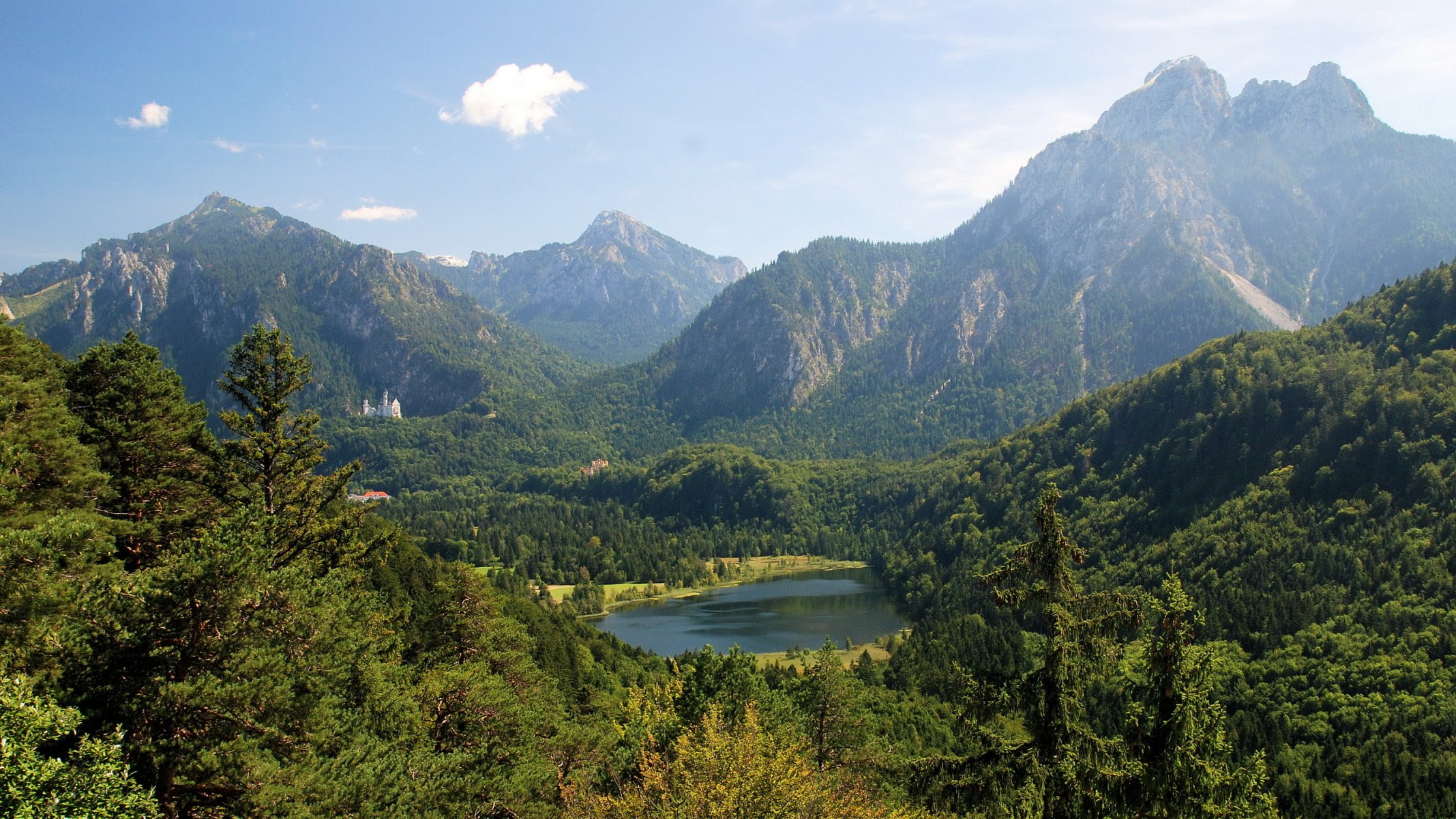 allemagne alpes bavière neuschwanstein montagnes forêt lac château