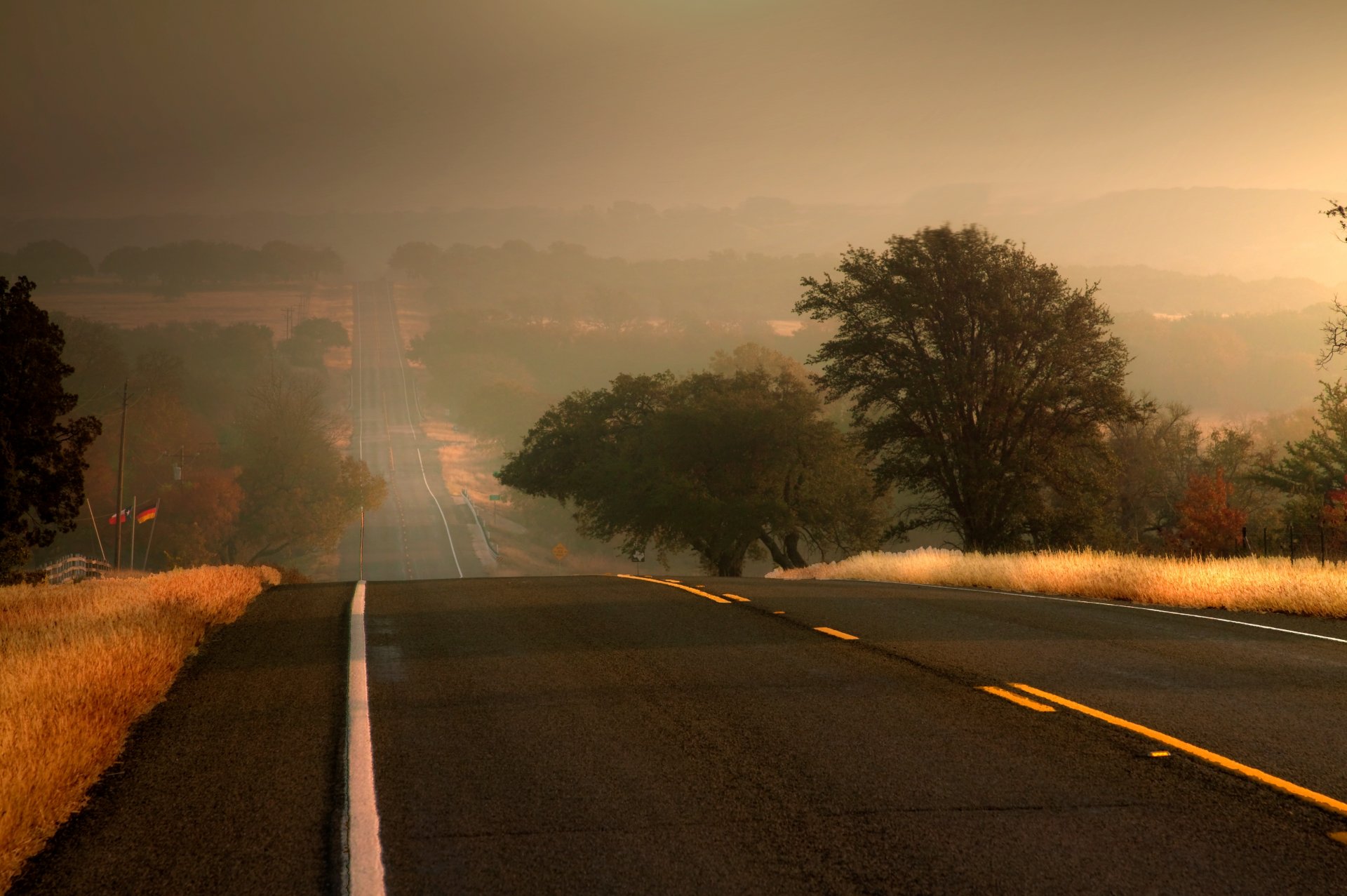 natura droga trasa autostrada drzewo drzewa liście liście tło tapeta panoramiczny pełny ekran panoramiczny panoramiczny