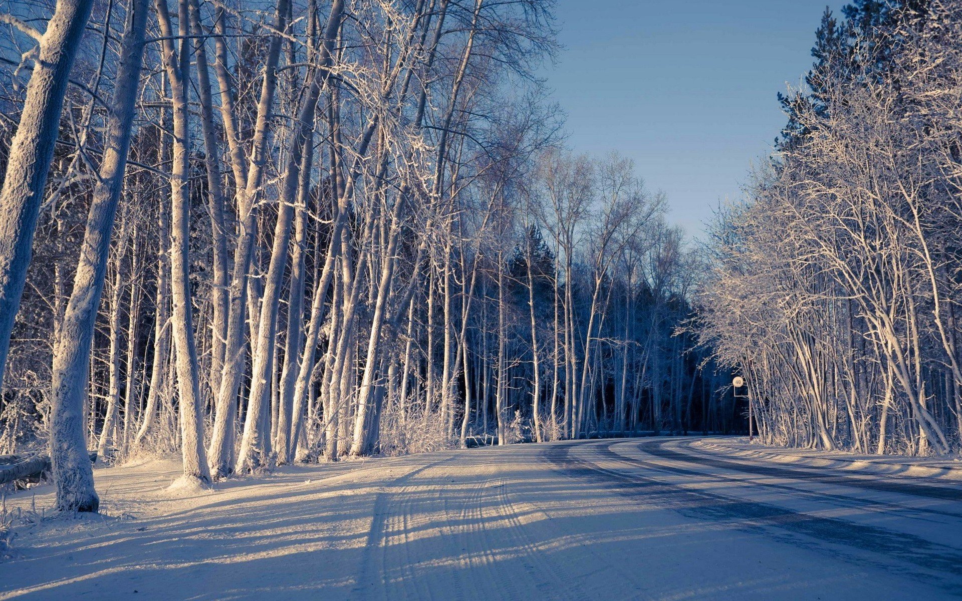 nature snow winter trees road cold shade winter background wallpaper widescreen fullscreen widescreen