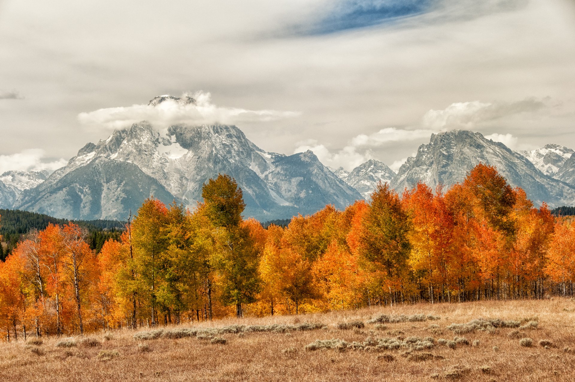 mountain forest tree tops autumn cloud