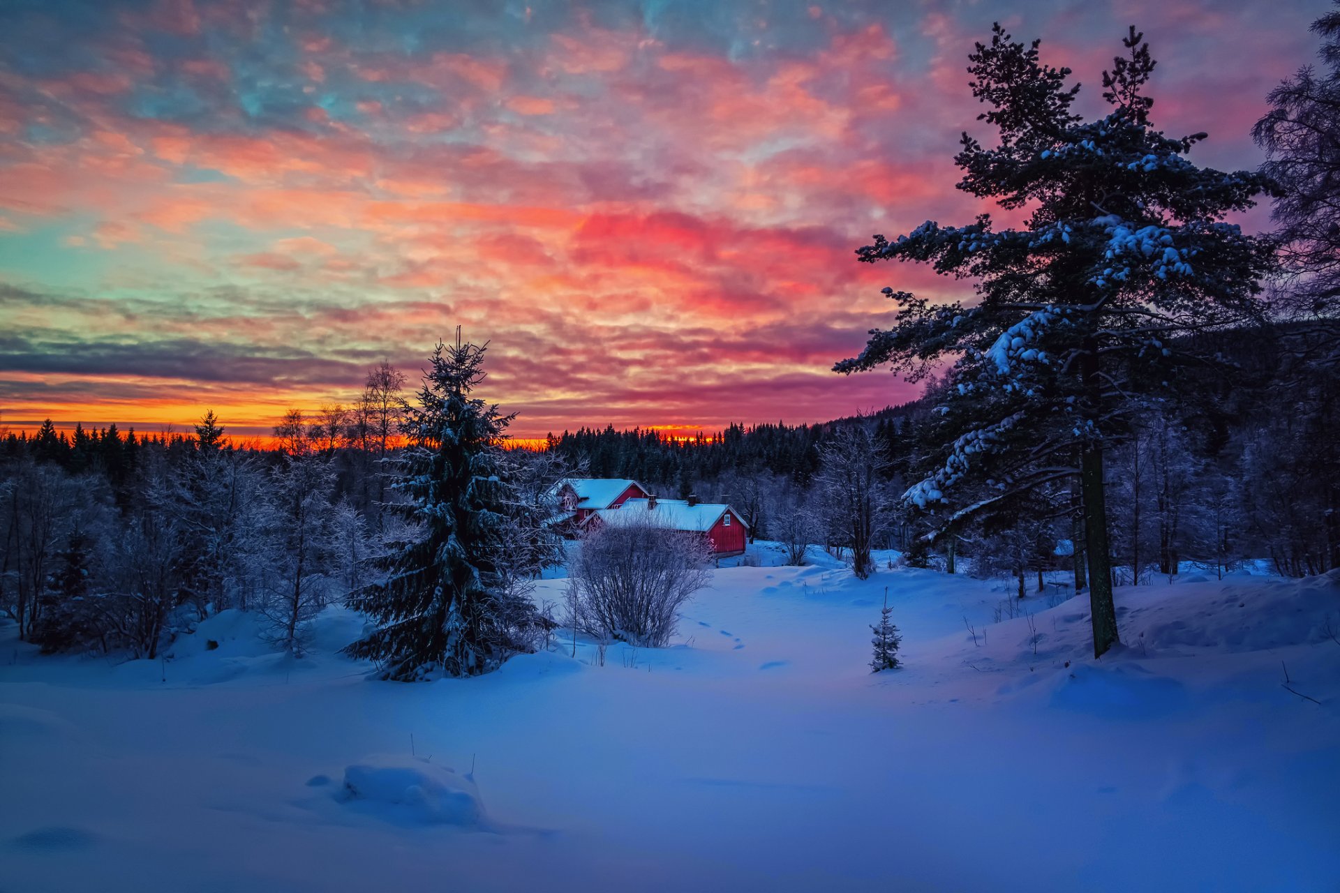 winter night sunset sky clouds paint snow forest house