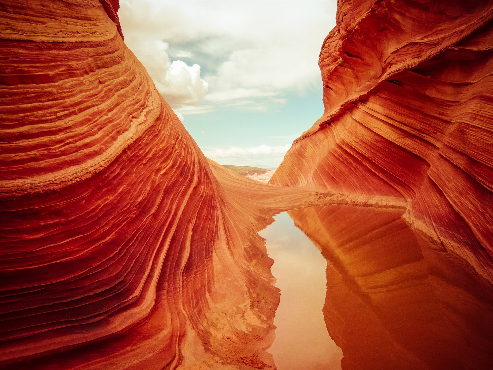 usa arizona coyote bats vermilion cliffs national reserve felsen wellen textur wasser himmel reflexion