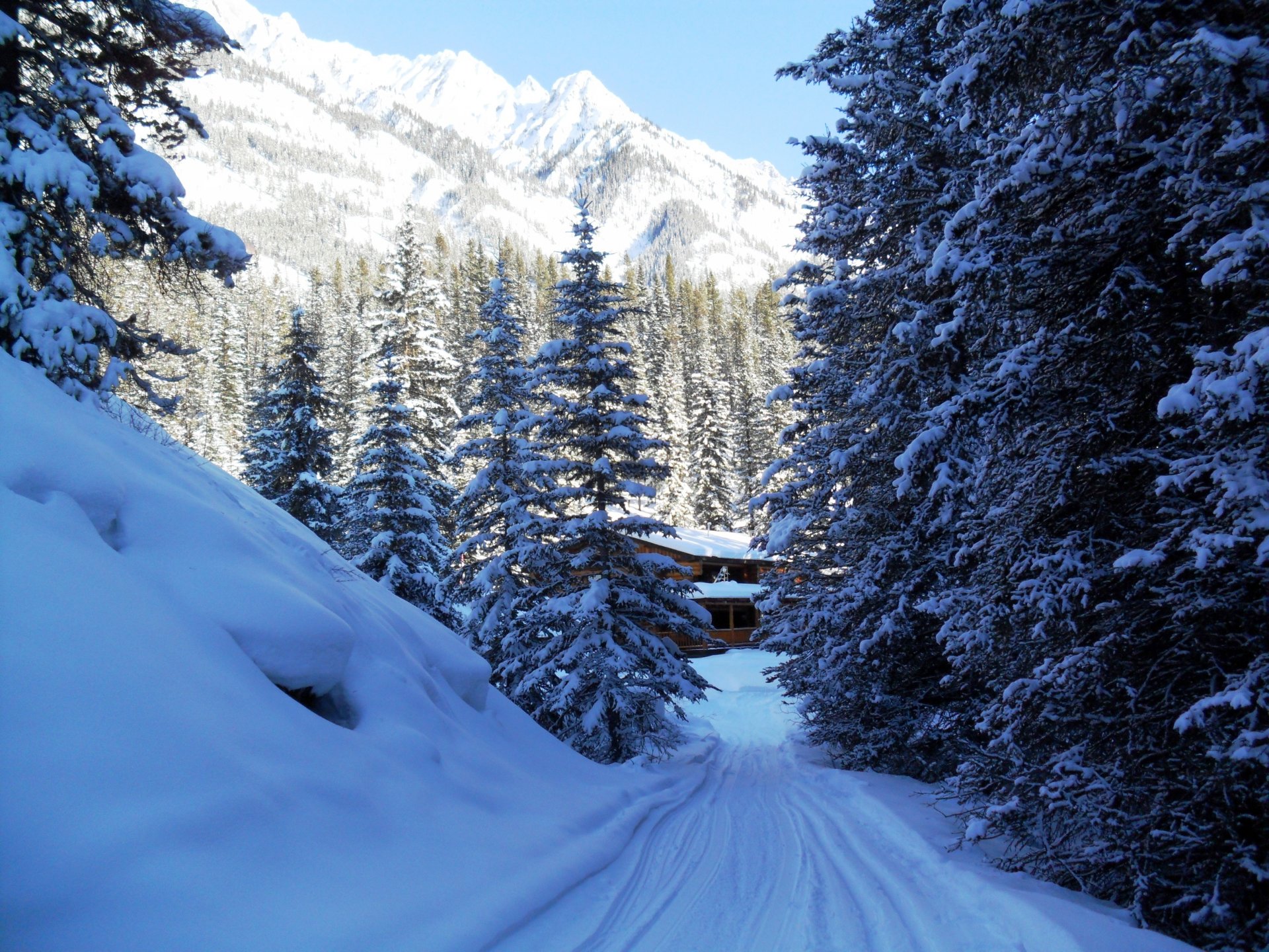 winter park mountain canada snow tree banff spruce house nature photo