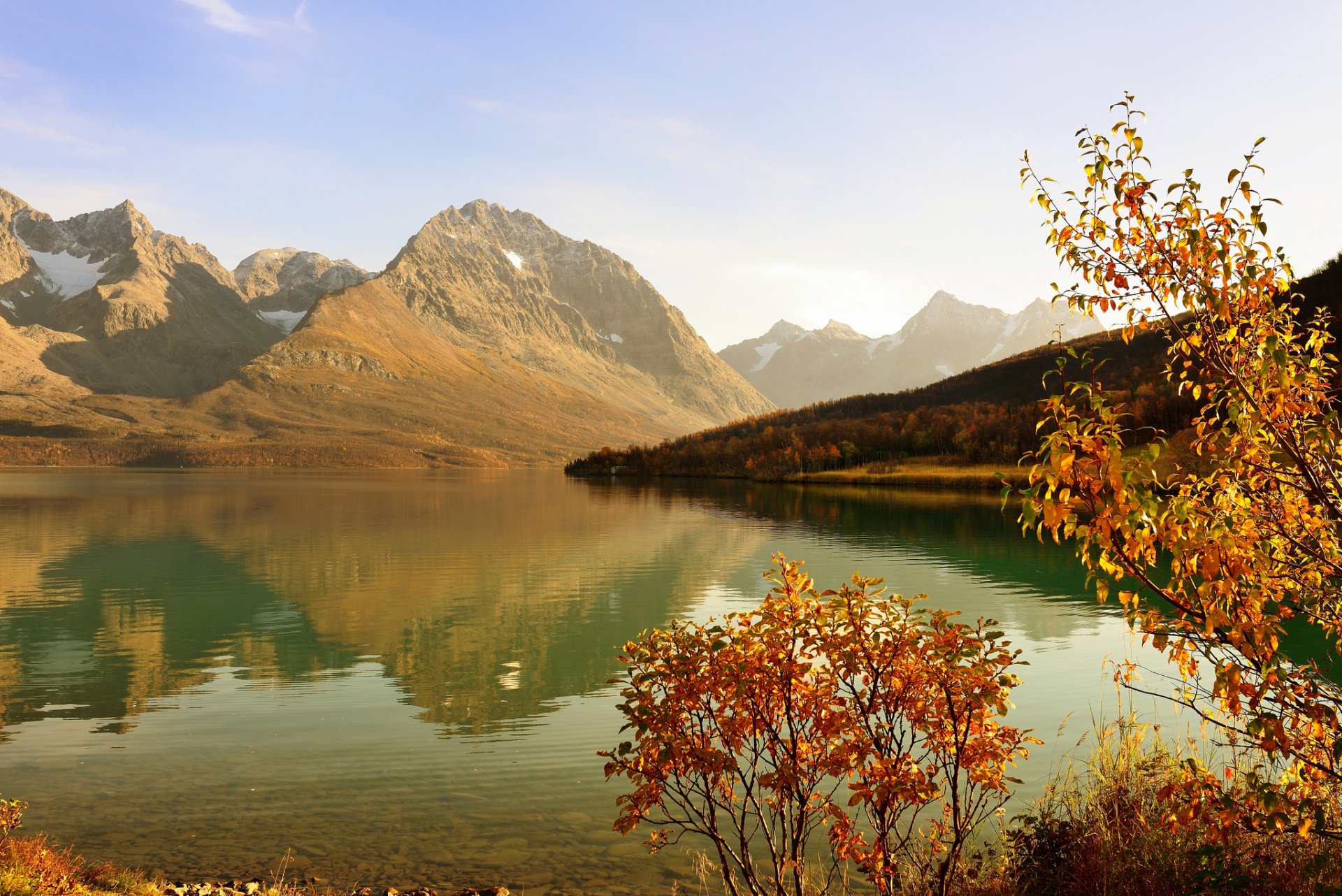 bucht berge wald baum strauch herbst