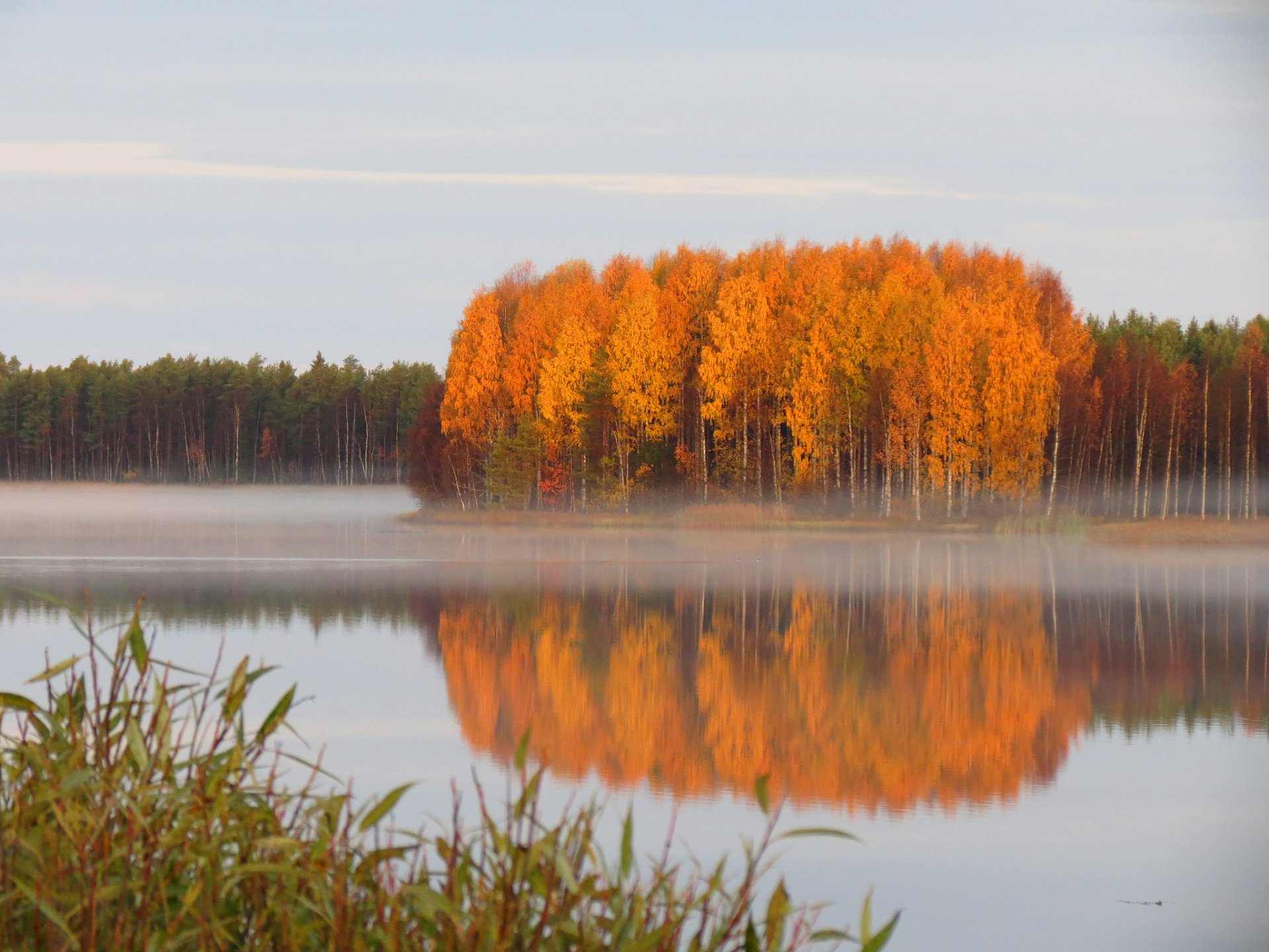 forest autumn pond haze calm