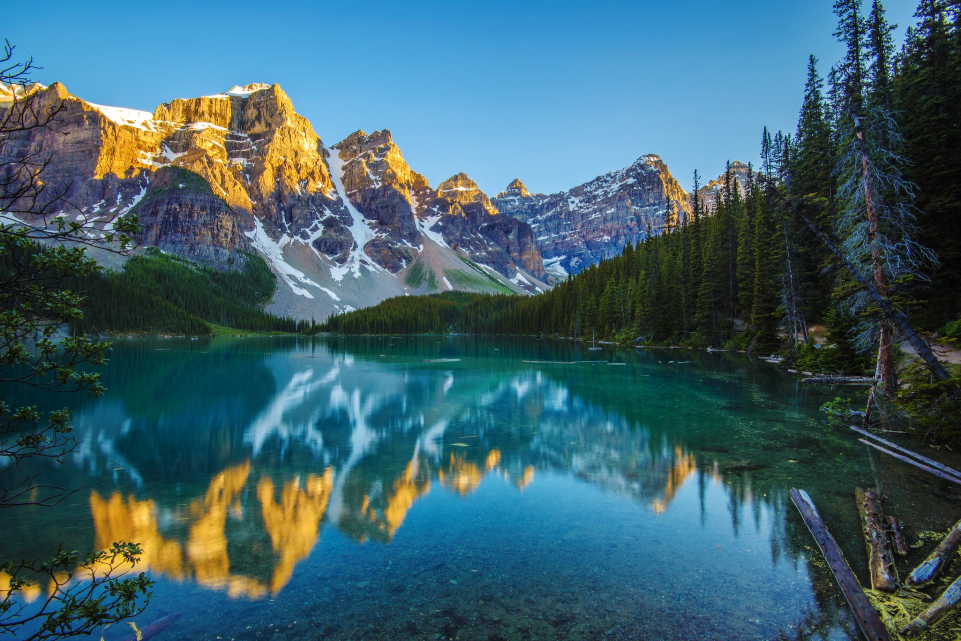 berge wald see reflexion morgen