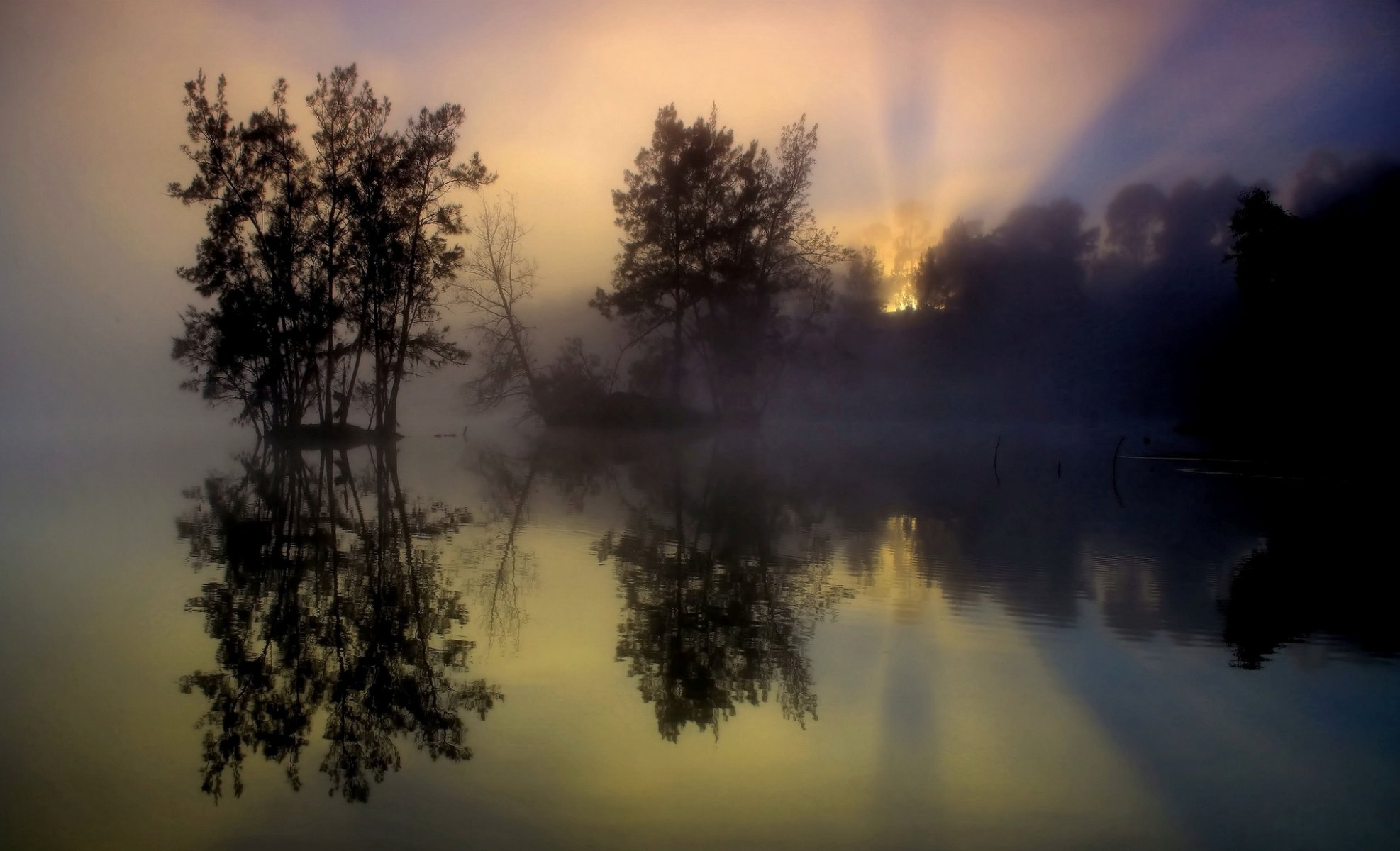 nebel bäume see reflexion morgen sonnenaufgang