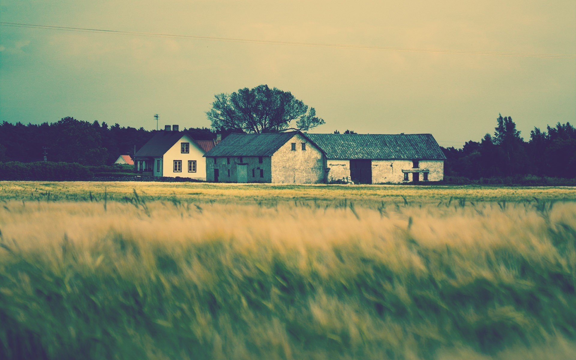 natur landschaft haus häuser wohnung dach gras grün bäume baum unschärfe hintergrund hdw allpaper