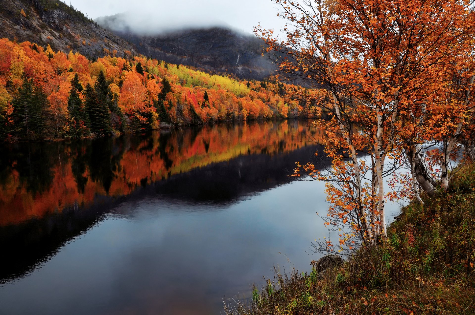 canada newfoundland and labrador autumn river humber river