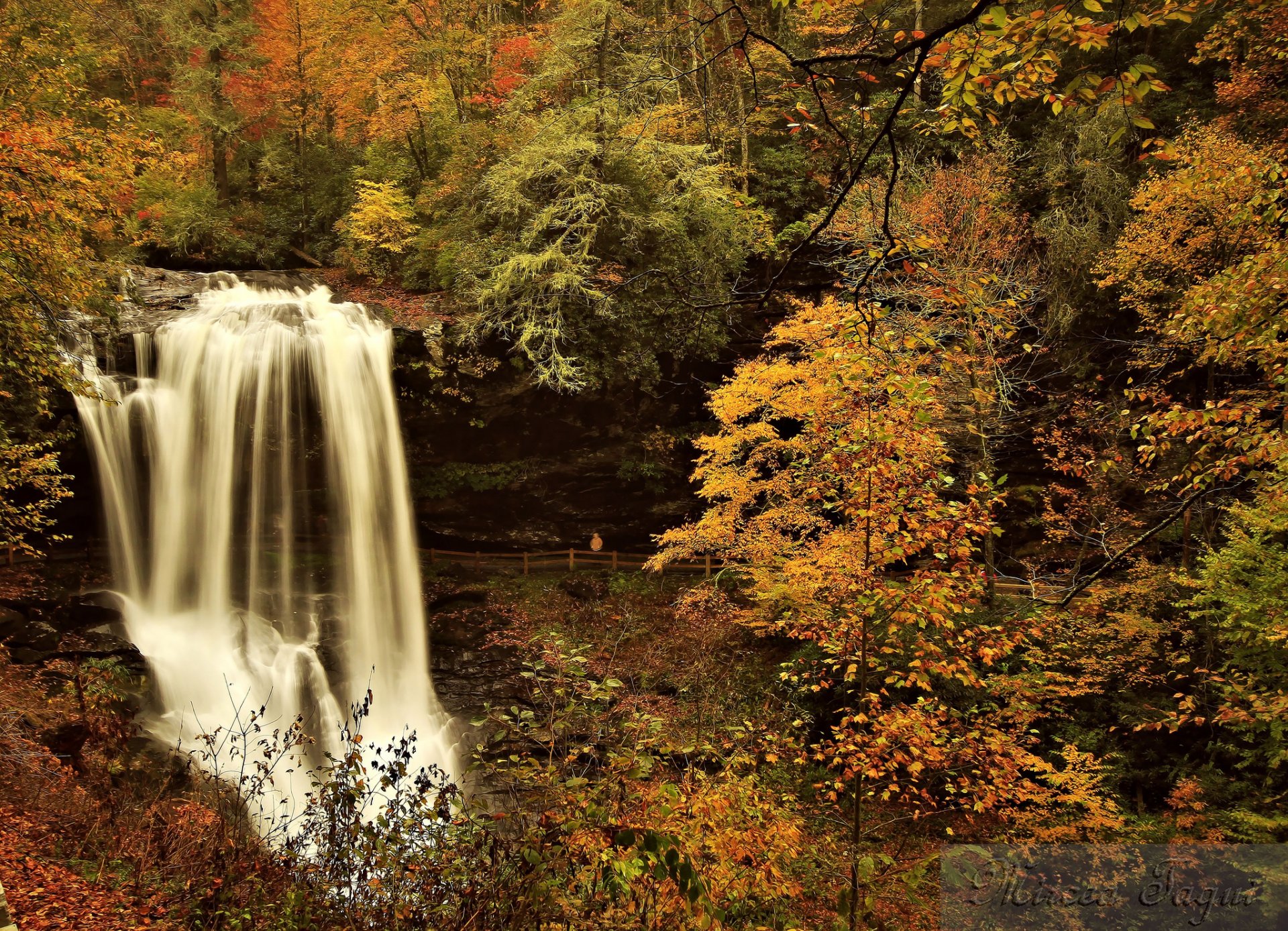 autumn forest river waterfall