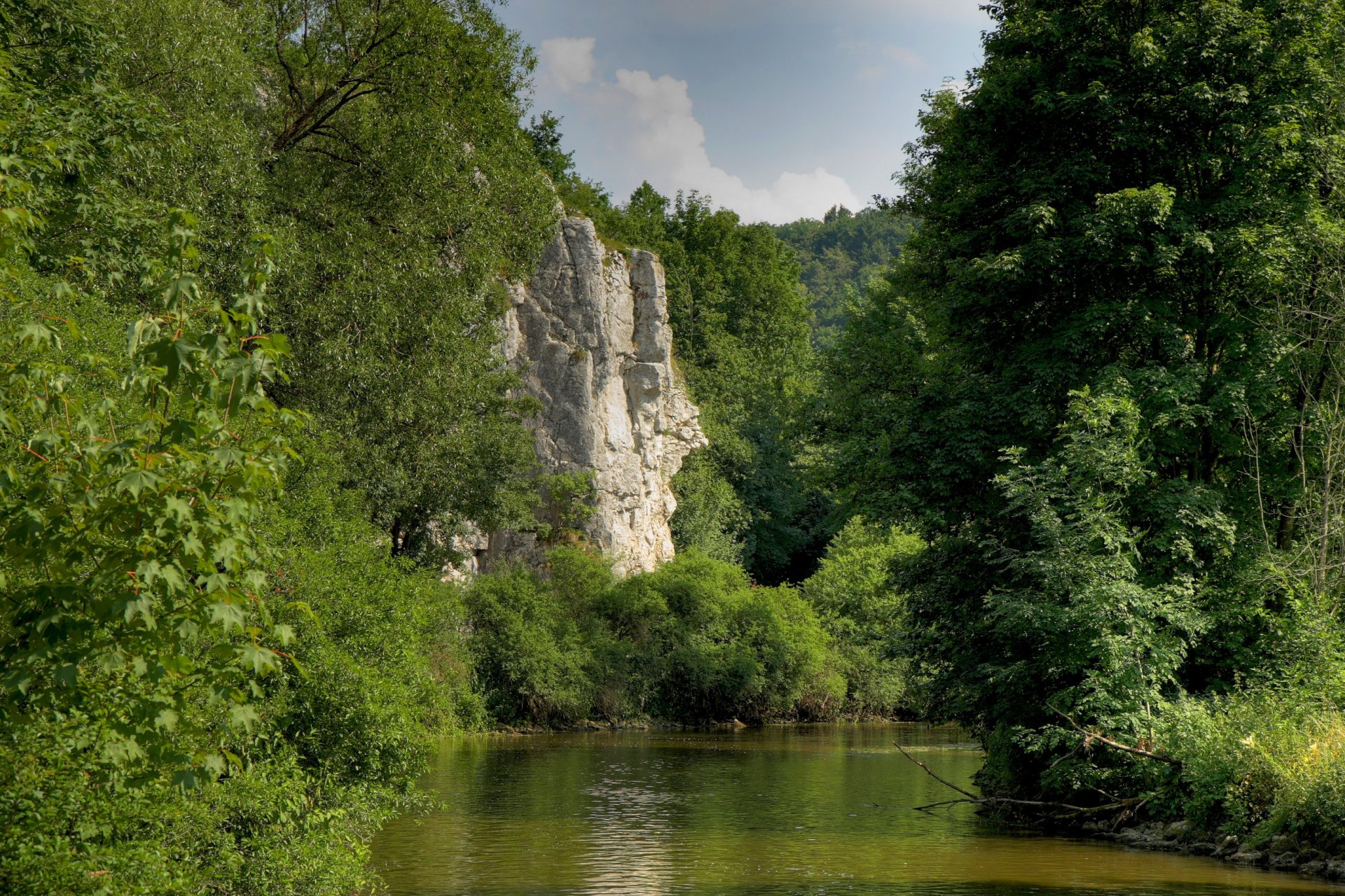 германия бавария гора лес деревья река