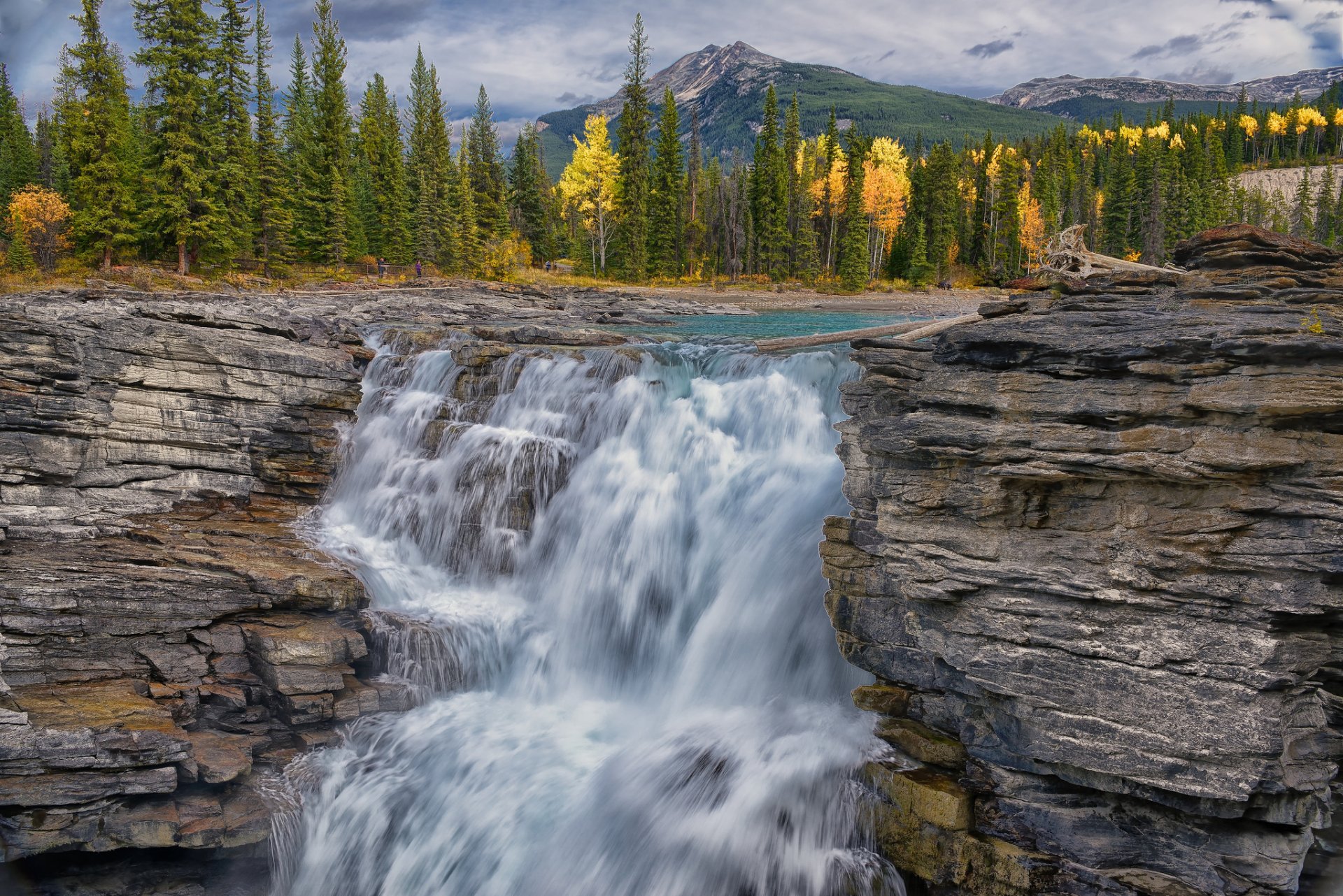 montagne foresta fiume cascata autunno