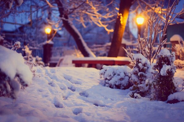 Huellas en la nieve en el patio de invierno