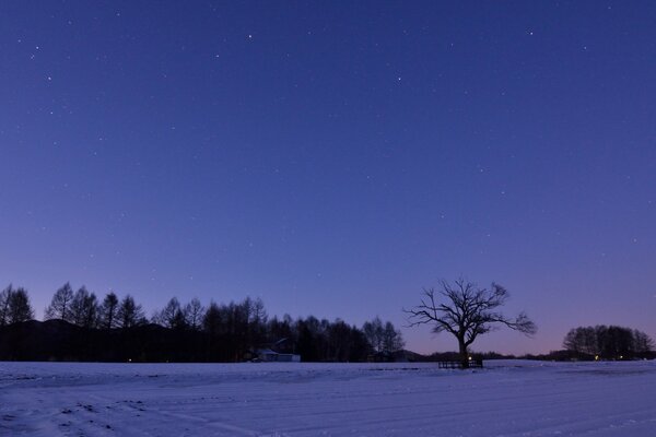 Sergeyeva sky on a winter night, silence