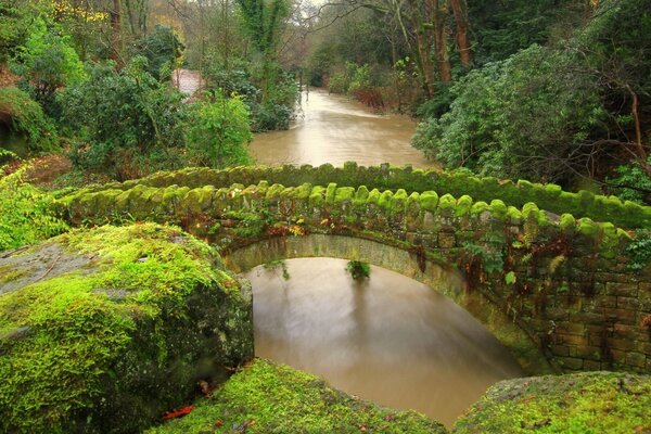 England. Brücke über den Fluss