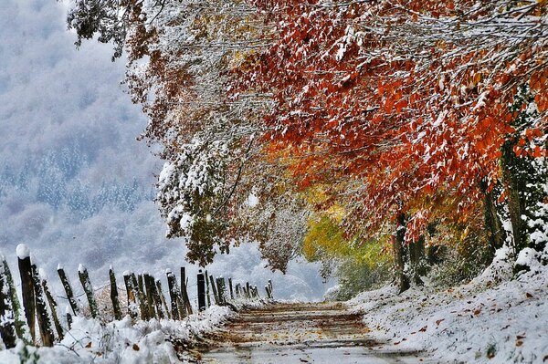 Erster Herbstschnee in Frankreich