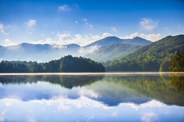 Mattina nella foresta in riva al lago