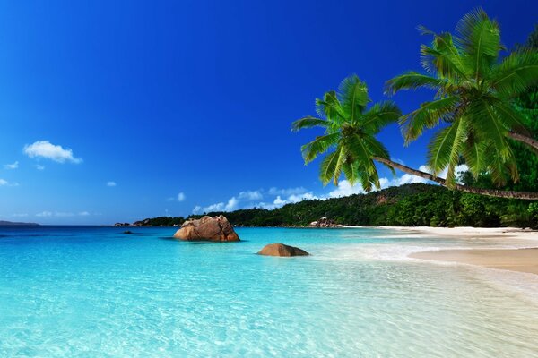 Spiaggia di mare sabbioso contro il cielo blu