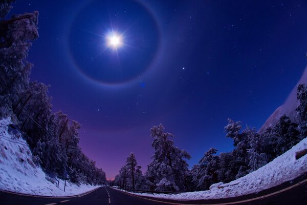 Ein Stern leuchtet in einer dunklen Winternacht