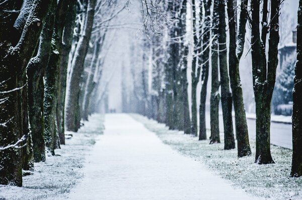 Snow-covered alley in the city