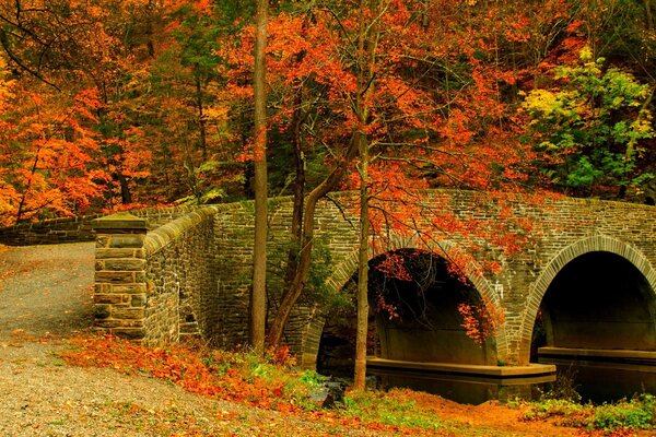 Paisaje de otoño en el puente de piedra